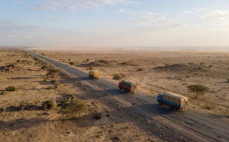 Berbera bets on becoming the Red Sea's back door as Gulf ports stall and rivals circle