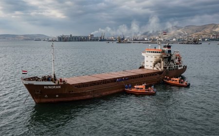 Egyptian Captain Killed, Eight Sailors Repatriated After Cargo Ship Struck Near Russian Port
