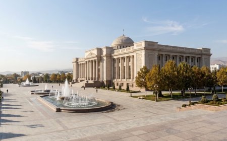 Uzbekistan's Senate backs life sentences for raping children under 14