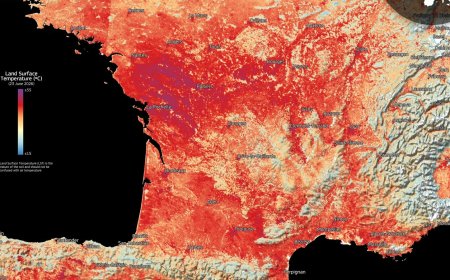 Record heat stress gripped half of Europe this summer, EU climate monitor finds