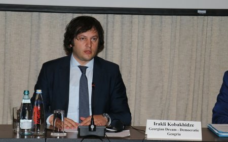 Kobakhidze says Georgia has met about 90% of EU association pledges as accession stalls